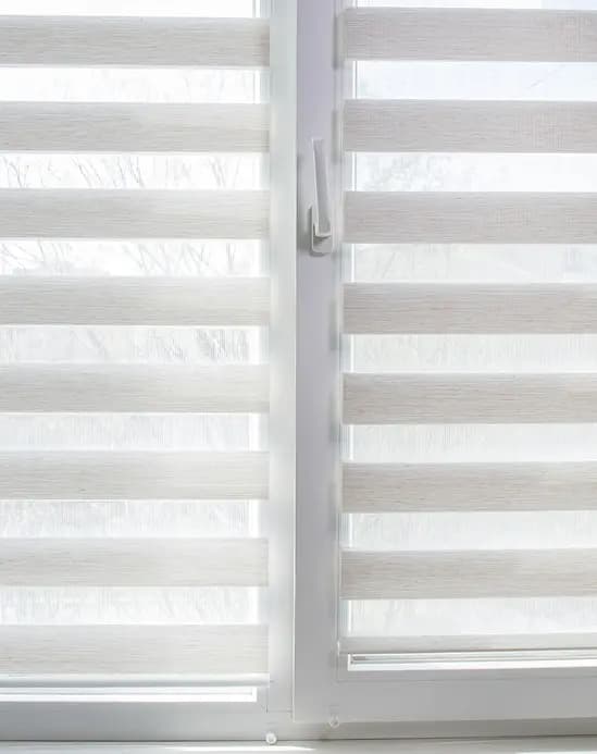 Zebra Blinds